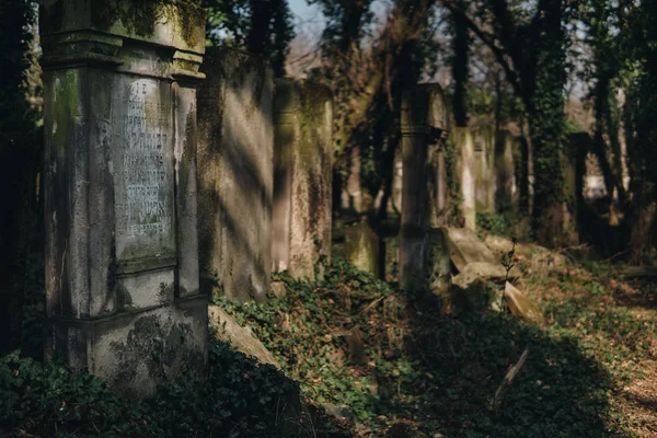 Antigo cemitério judeu — Fotografia de Stock