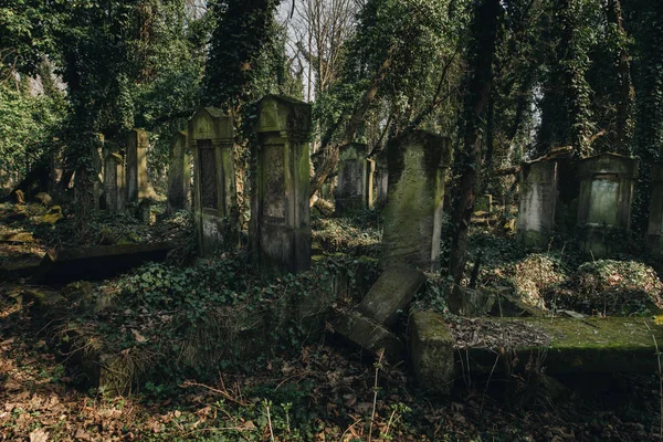 Vecchio cimitero ebraico — Foto Stock