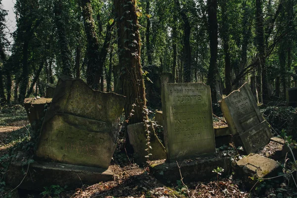 Vecchio cimitero ebraico — Foto Stock