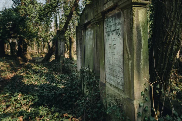 Старые еврейские надгробия — стоковое фото