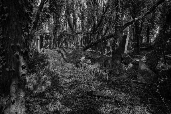 old jewish cemetery