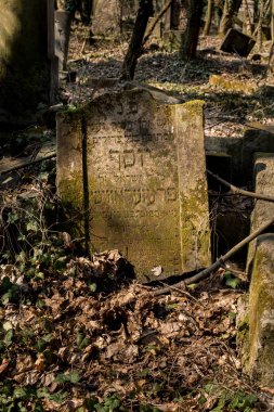 eski yahudi matzevah detay