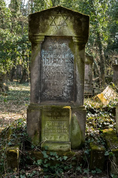 Detail van oude Joodse matzevah — Stockfoto