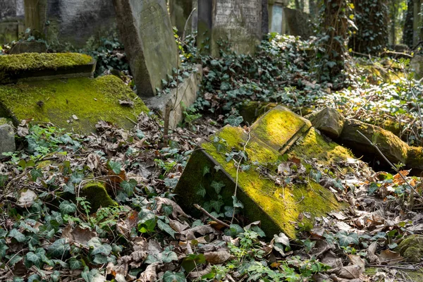 Oude grafstenen bedekt met mos — Stockfoto