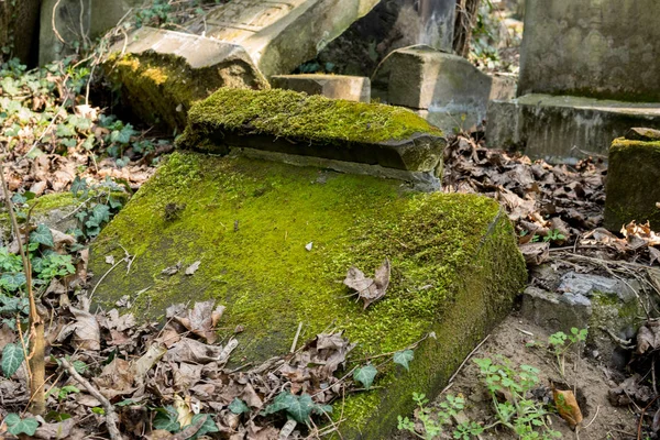Oude grafstenen bedekt met mos — Stockfoto