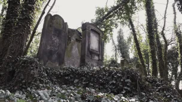 Slide Câmera Horizontal Velho Cemitério Judeu Localizado Cidade Czestochowa Polônia — Vídeo de Stock