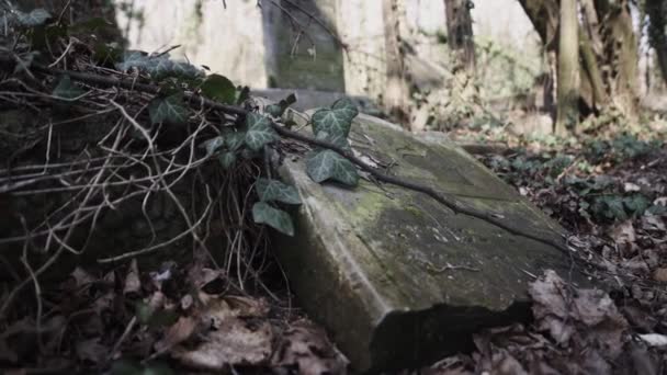Matzevah와 폴란드 체스토 초와의 도시에위치한 오래된 유대인 묘지에 카메라 슬라이드 — 비디오