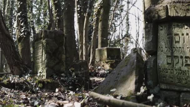 Diapositiva Horizontal Cámara Antiguo Cementerio Judío Situado Ciudad Czestochowa Polonia — Vídeos de Stock