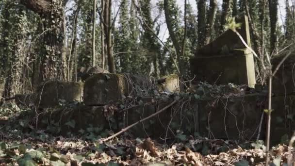 Horizontální Fotoaparát Starém Židovském Hřbitově Městě Czestochowa Polsku Zničeného Matzevah — Stock video