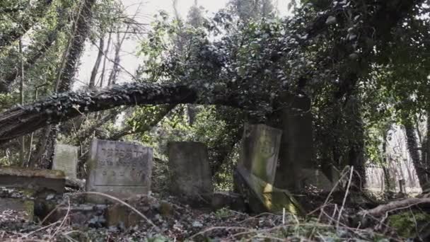 Horizontale Kamerarutsche Auf Dem Alten Jüdischen Friedhof Der Stadt Tschenstochau — Stockvideo