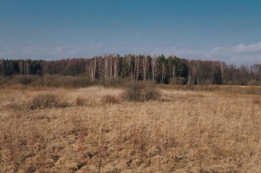 Bataklık ile peyzaj