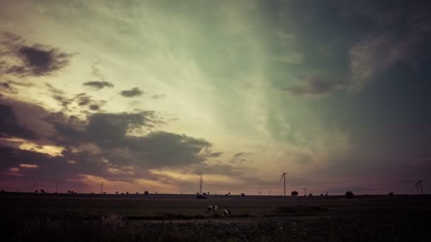 Tijdverloop Van Schilderachtige Zonsondergang Velden Landelijke Omgeving Een Koe — Stockvideo