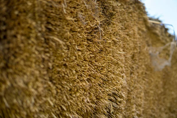 Straw from thatched roof — Stock Photo, Image