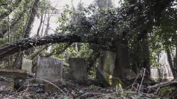 Horizontální Fotoaparát Starém Židovském Hřbitově Městě Czestochowa Polsku Zničeného Matzevah — Stock video