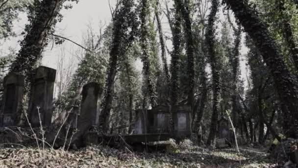 Glissière Caméra Horizontale Sur Vieux Cimetière Juif Situé Dans Ville — Video