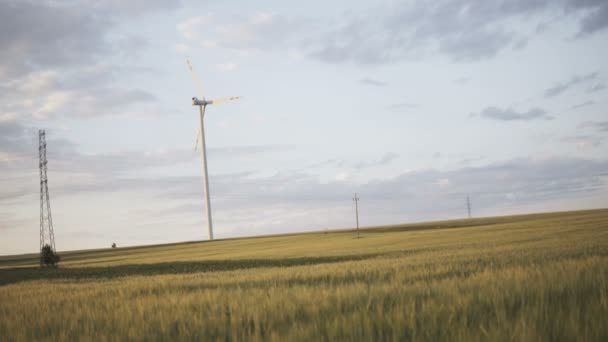 Camera Slide Naast Veld Vol Groene Rogge Voor Windturbine — Stockvideo