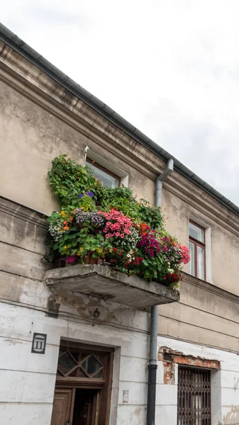 Balkon met bloemen — Stockfoto