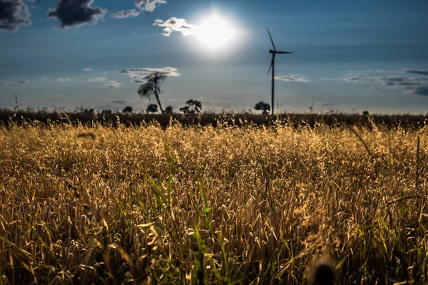 Sonnenuntergang über ländlichem Raum mit Windkraftanlage — Stockfoto