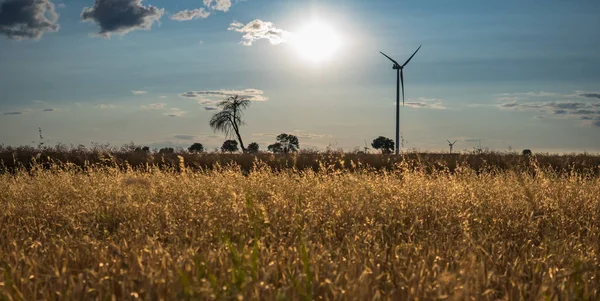 Por do sol sobre a área rural com turbina eólica — Fotografia de Stock