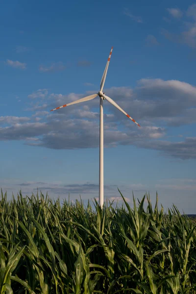 Turbina eólica sobre campo de milho — Fotografia de Stock