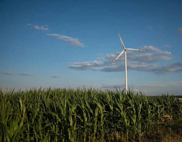 Вітрова турбіна над кукурудзяним полем — стокове фото