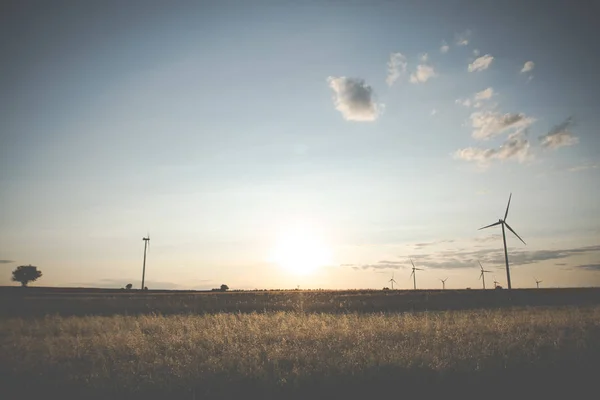 Wind turbines during sunset — Stock Photo, Image