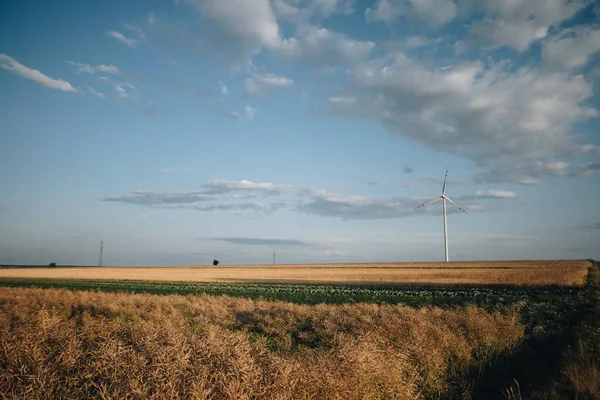 Field with wind turbine — Stock Photo, Image