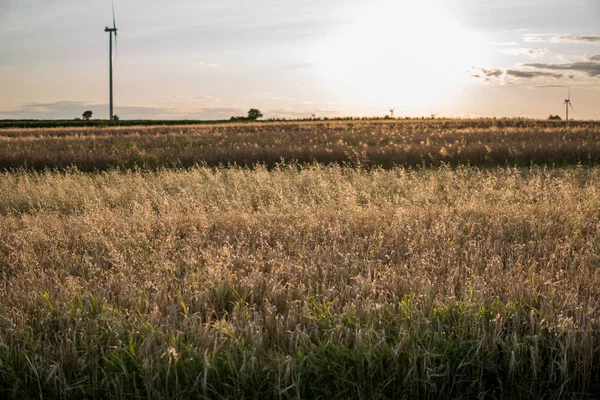 Windkraftanlagen bei Sonnenuntergang — Stockfoto