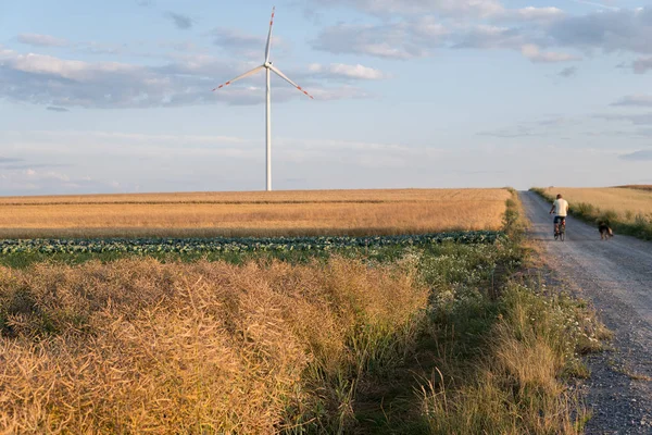 Polní cesta přes pole — Stock fotografie