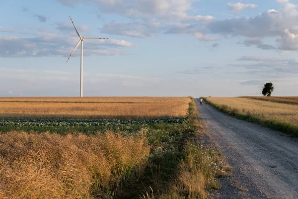 Dirt road through field — Stock Photo, Image