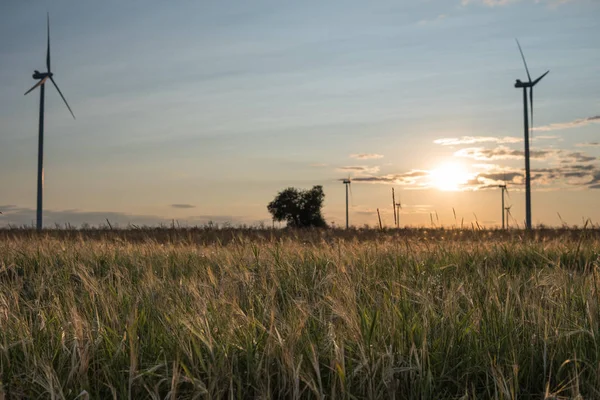 Větrné turbíny při západu slunce — Stock fotografie