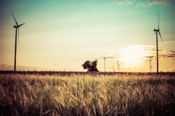 Wind turbines during sunset — Stock Photo, Image