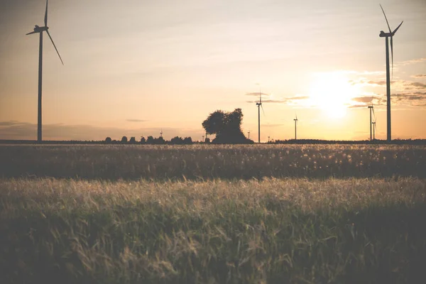 Wind turbines during sunset — Stock Photo, Image