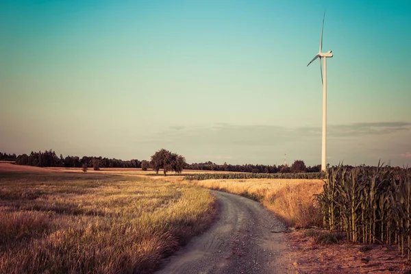 Dirt road through field — Stock Photo, Image