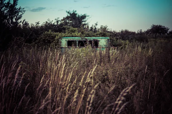 abandoned truck in bushes