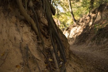 Lağımlarda oluşmuş dereli bir arazinin dibinde.