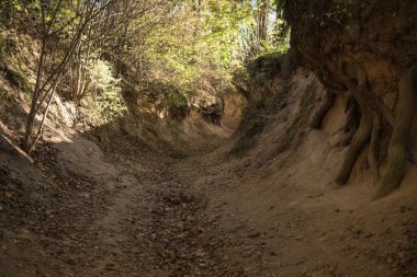 Lağımlarda oluşmuş dereli bir arazinin dibinde.