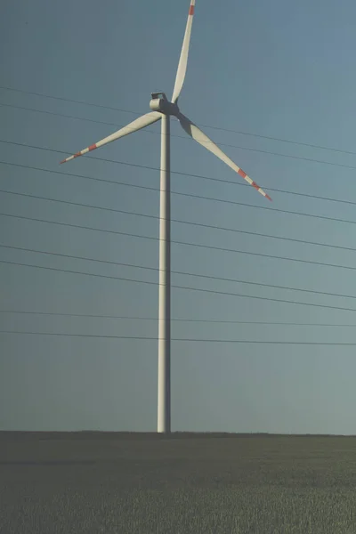 Jediná Větrná Turbína Poli Elektrickými Vodiči Nad Jasně Modrou Oblohou — Stock fotografie