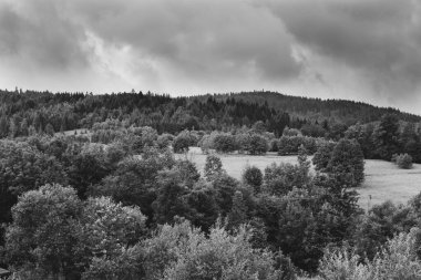 Yeşil orman ve bulutlarla kaplı dağlık bir arazi.
