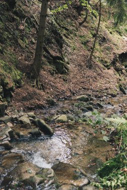 Dağlardaki küçük bir derede çağlayan suyun ayrıntıları
