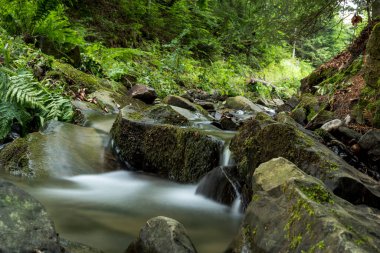 Günlük pozlama ile küçük bir derede kademenin detayı