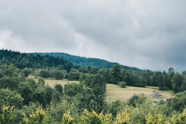 緑の森と雲に覆われた山脈の風景 — ストック写真