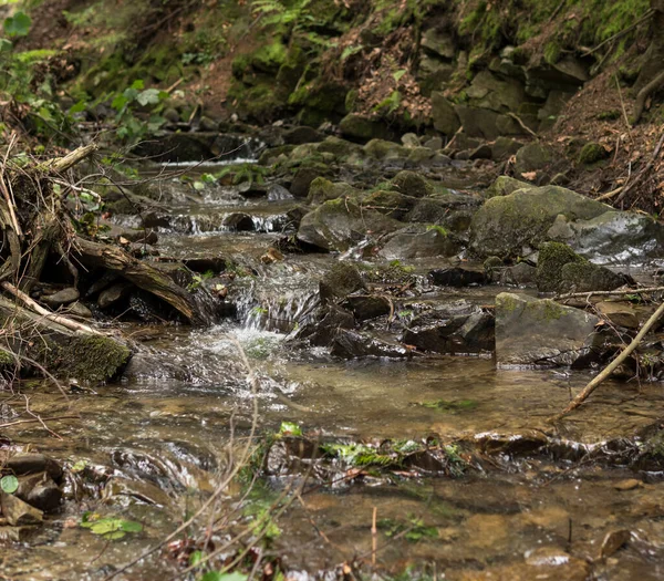 山の中の小さな小川の水のカスケードの詳細 — ストック写真