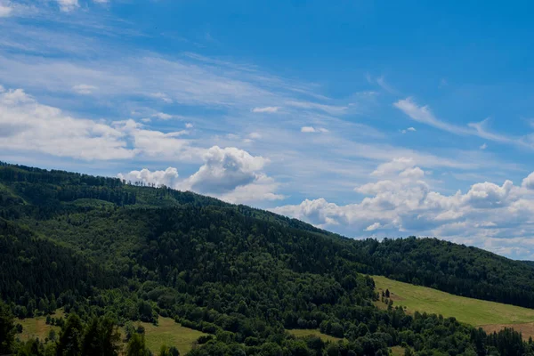 Paysage Avec Chaîne Montagnes Couvertes Forêts Vertes Nuages — Photo