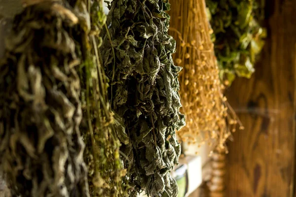 Close Dried Herbs Hanging Wall Old Wooden House — Stock Photo, Image
