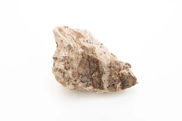 Λεπτομέρεια Απολιθώματος Κυανοφύτων Που Απομονώνονται Λευκό Φόντο Royalty Free Φωτογραφίες Αρχείου