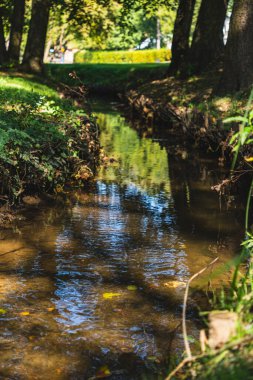 Parkta akan küçük bir akarsu.