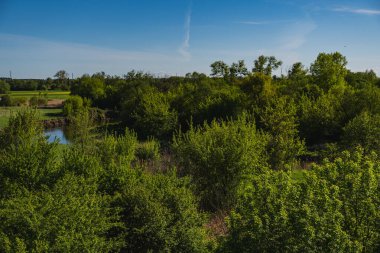 Nehir vadisi baharın başlarında yeşillenen ağaçlarla kaplıdır.