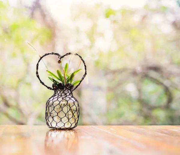 Növény-kézzel szív alakú dekoratív váza — Stock Fotó