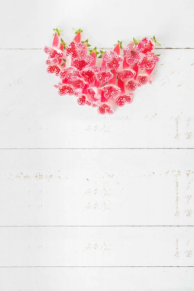 Pequeñas flores rojas de primavera se organizan en forma de corazón sobre fondo de madera blanca — Foto de Stock